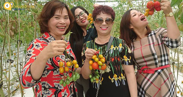 cong-dong-gia-qua-tot-tham-khu-cong-nghiep-nam-cau-kien