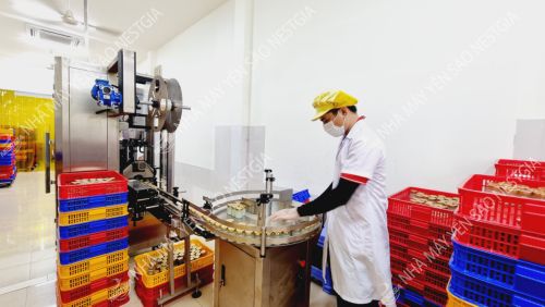 NHÀ MÁY YẾN SÀO NESTGIA chuyên cung cấp các giải pháp Sản xuất và Gia Công Yến Hũ Chưng Sẵn